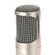 REMAX RMK-02 Wired Microphone